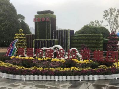 以菊为媒 以花为介 展示服务城市与发展之宗旨——市K8凯发集团参展南昌市第三十四届菊花展