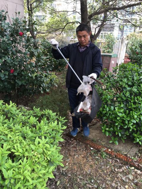 节造鼠害、预防疾病，构建和谐文化社区